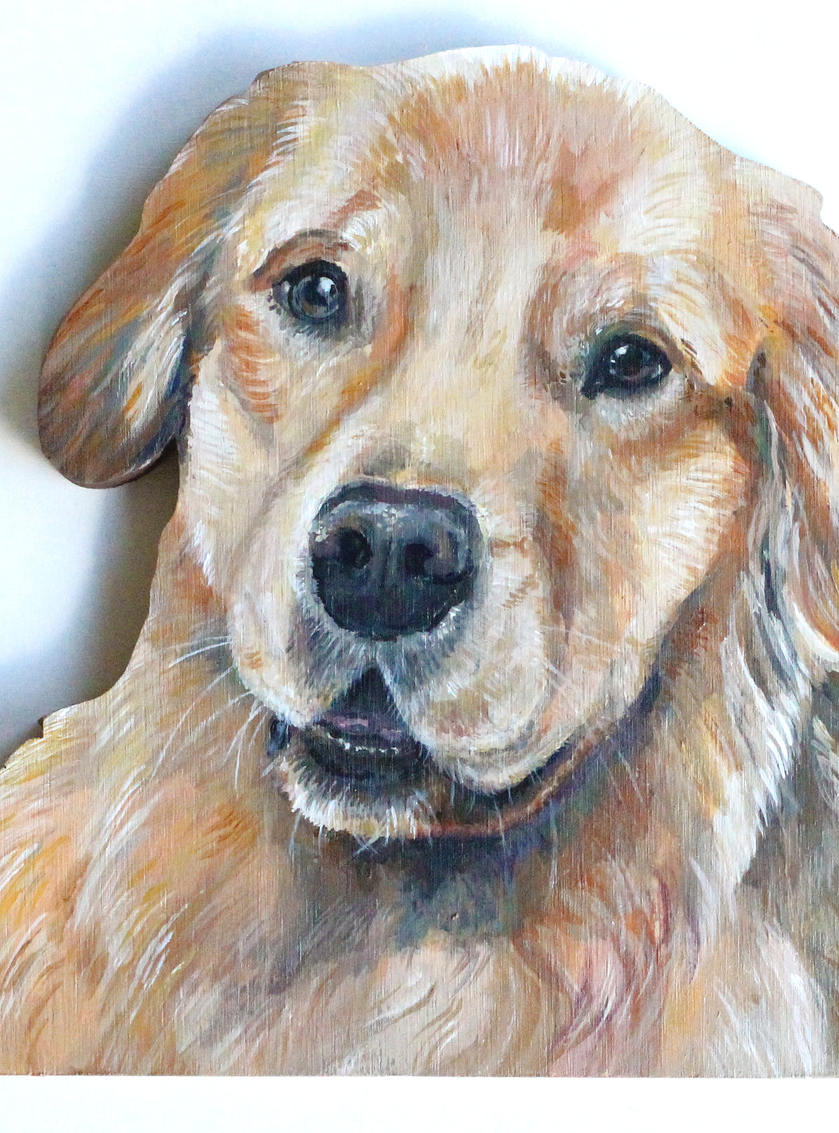 Pet Portrait Pizza Box - Custom