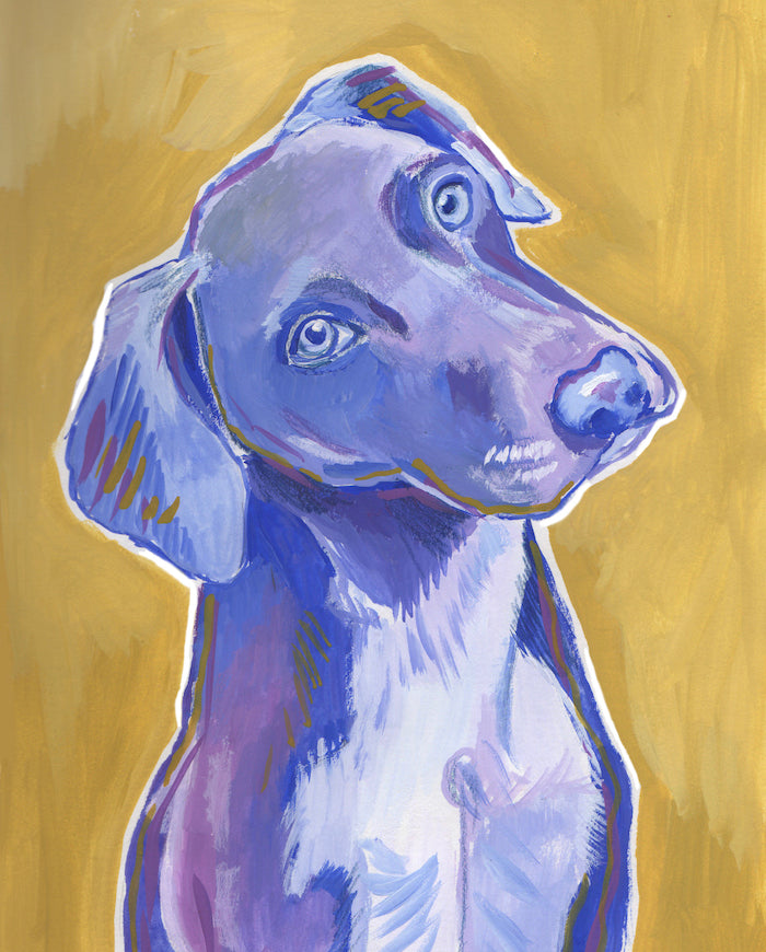 Mr Purple Dog