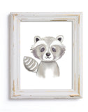 Woodland Raccoon - Print