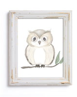 Woodland Owl Print