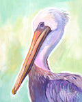 Mr. Pelican