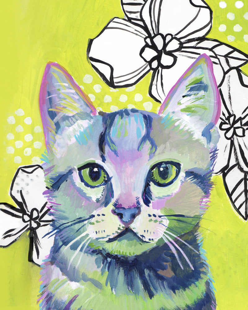 Mr. Cat