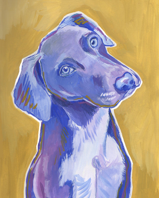 Mr Purple Dog