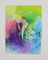 Mini Shell Portrait 10 - 5" x 7"