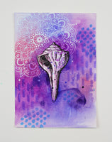 Mini Shell Portrait 7 - 5" x 7"