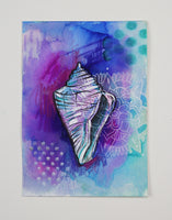 Mini Shell Portrait 9 - 5" x 7"