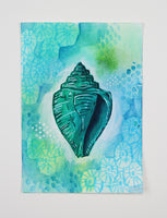 Mini Shell Portrait 5 - 5" x 7"