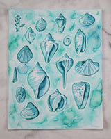 Washy Shells in Teal - 11" x 14"