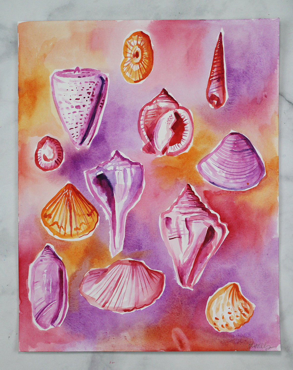 Washy Shells in Reds - 11" x 14"